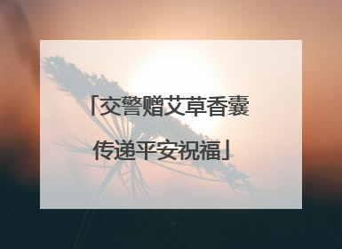 交警赠艾草香囊 传递平安祝福